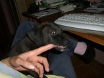 CIMG0112.jpg