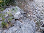 Imagen066.jpg