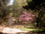 Copia de Imagen 006.jpg