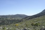 DSC02543.jpg