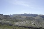 DSC02552.jpg