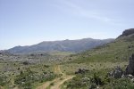 DSC02555.jpg