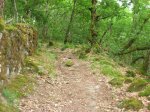 DSCN2108 (Medium).JPG