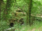 DSCN2117 (Medium).JPG