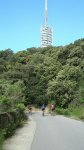DSC01528.jpg