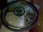 12062008198.jpg