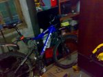 10062008196.jpg