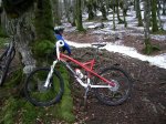 rollo especialized..JPG