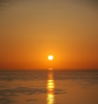DSC_1459.JPG