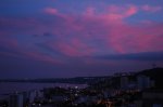 DSC_2484.JPG