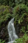 la palma 1-9-2007 (186).JPG