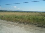P6120006_640x480.jpg