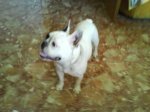 DSC00061.jpg