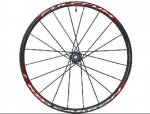 RedCarbon_Re.jpg