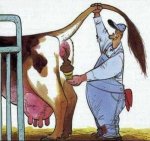vaca-helado.jpg