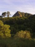 13062008029.jpg