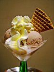 450px-Ice_Cream_dessert_02.jpg