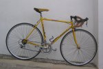pinarello.jpg