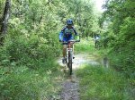 bici.jpg