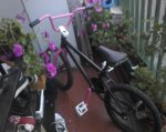 Foto0141.jpg