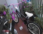 foto0141d.jpg