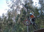 maxxis vigo 08 -  monteferro - varios-025 (Large).jpg