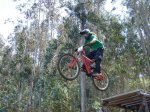 maxxis vigo 08 -  monteferro - varios-028 (Large).jpg