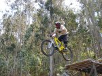 maxxis vigo 08 -  monteferro - varios-037 (Large).jpg