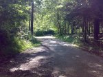 14062008204.jpg