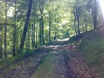 14062008242.jpg