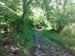 14062008256.jpg