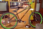 DSC00053.jpg