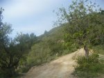 Previa III Kdd To Pa Bajo 005 (Medium).jpg