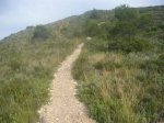 Previa III Kdd To Pa Bajo 006 (Medium).jpg