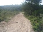Previa III Kdd To Pa Bajo 010 (Medium).jpg