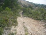 Previa III Kdd To Pa Bajo 012 (Medium).jpg