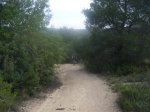 Previa III Kdd To Pa Bajo 019 (Medium).jpg