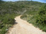 Previa III Kdd To Pa Bajo 038 (Medium).jpg