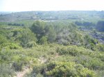 Previa III Kdd To Pa Bajo 048 (Medium).jpg