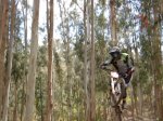 maxxis vigo 08 -  monteferro - varios-137 (Large).jpg