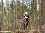 maxxis vigo 08 -  monteferro - varios-140 (Large).jpg