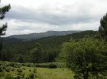 DSCN0669.jpg