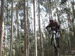 maxxis vigo 08 -  monteferro - varios-261 (Large).jpg