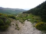 Foto11.JPG