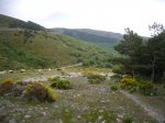Foto13.JPG