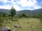Foto22.JPG