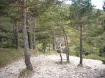 Foto37.JPG