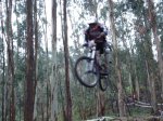 MAXXIS 08 -14 (Large).jpg
