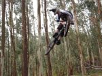 MAXXIS 08 -18 (Large).jpg
