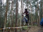 MAXXIS 08 -21 (Large).jpg